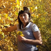 Елена Быкова