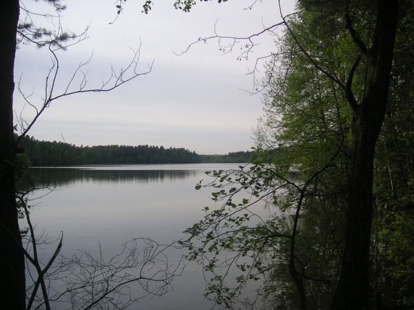 Надежда Агеева