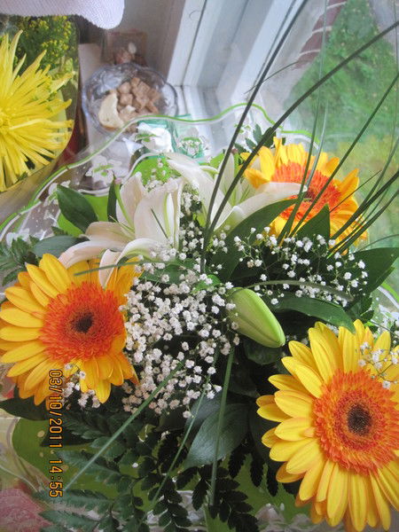 Елена Гончарова