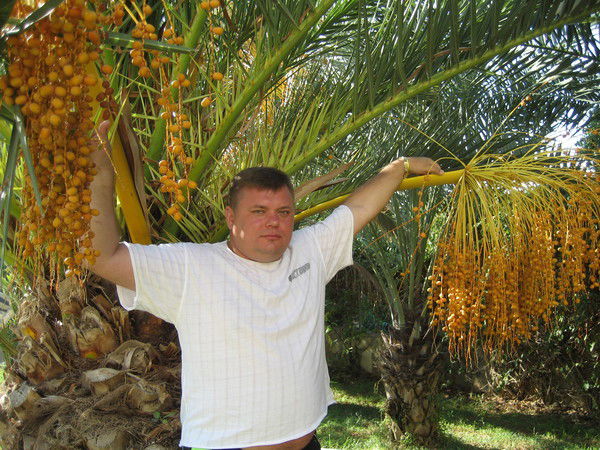 Константин Малюгин