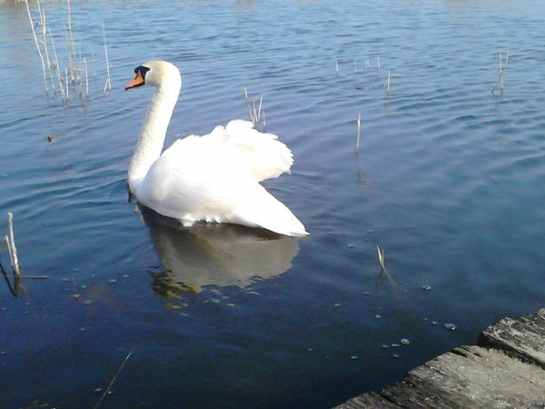 Ольга Пинаева