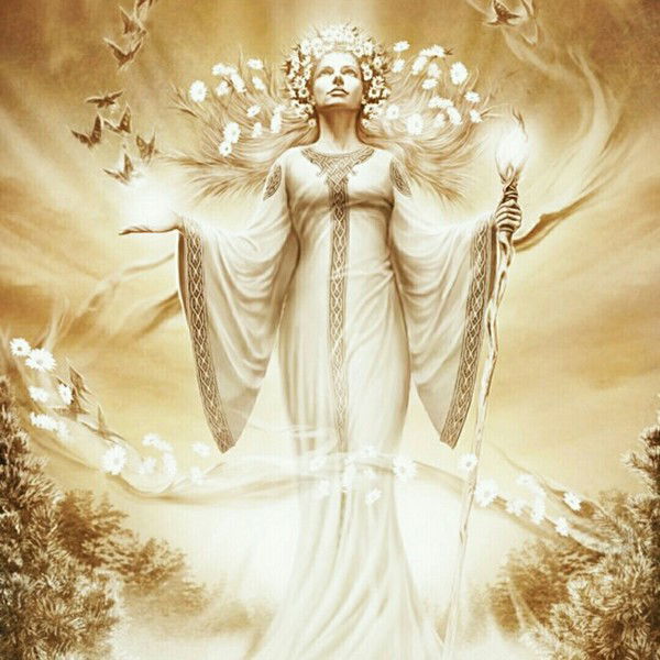 Елена Владимировна