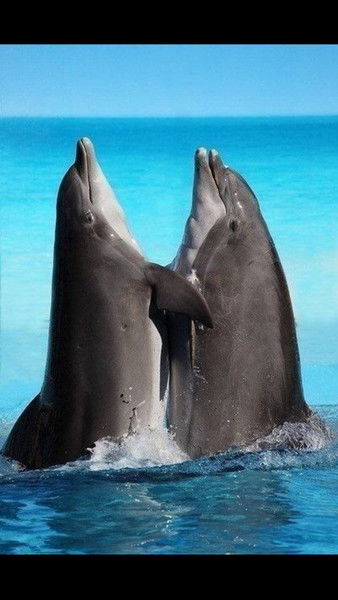 Гуля Короленко