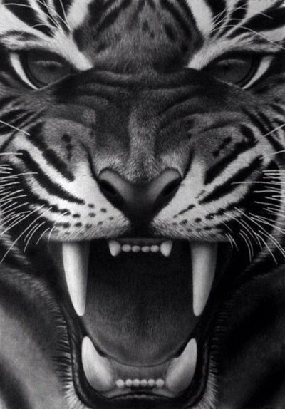 Анжелика Легкова