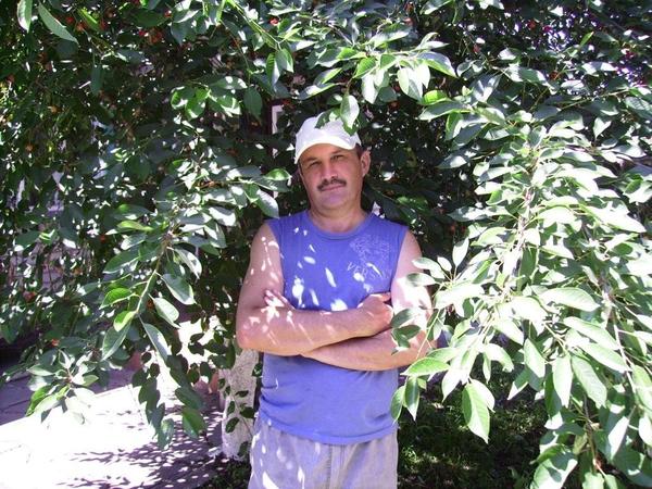 Николай Осташко