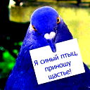 Елена Томилова