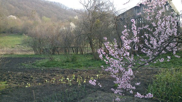 Стефан Анатольевич Сергеев