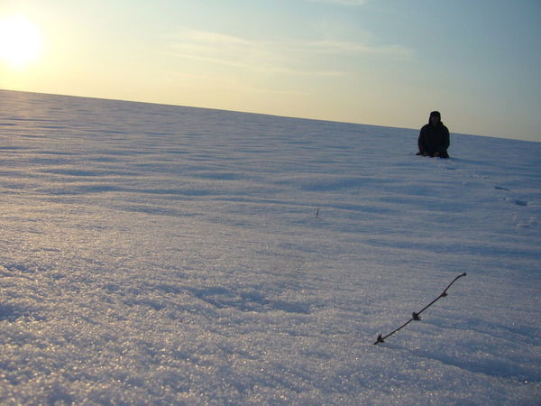 Филипп Мусатов