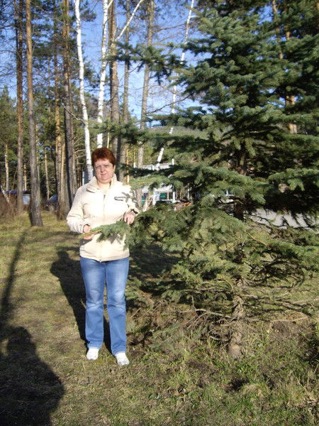 Елена Автушко