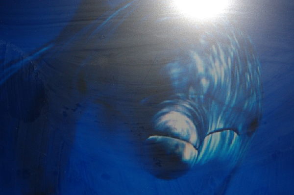 Владимир Козлов