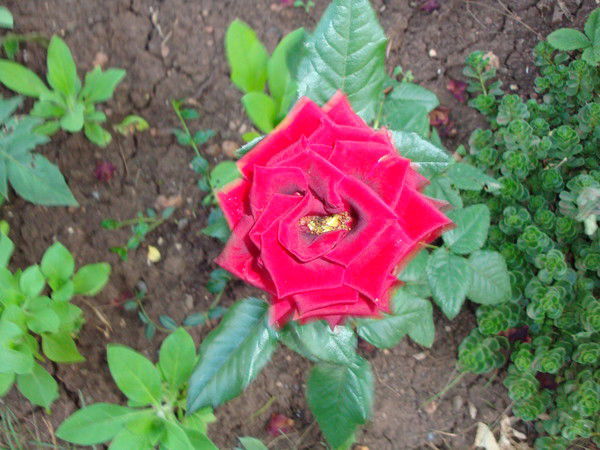 Надежда Курбангалеева