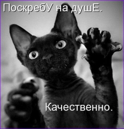 Александр Бенько