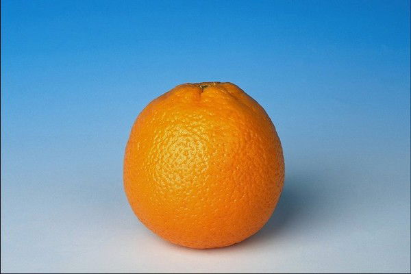 Алена Кудряшева