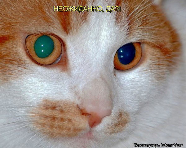 Иван Гришин