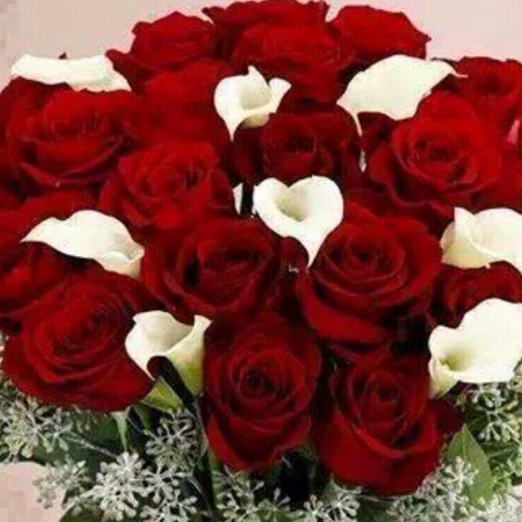 Римма Мурзиева