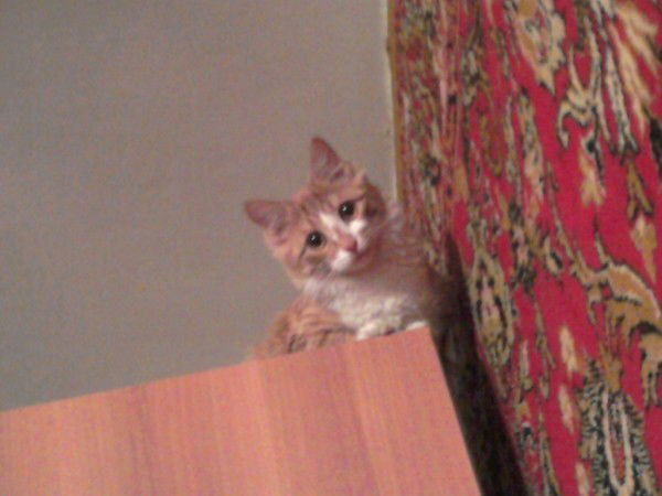 Юрий Николаевич