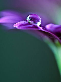 Наталья Минаева