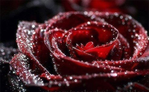 Наталья Шестопалова