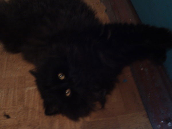 Андрей Кашталап