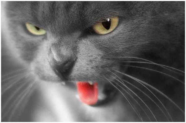 Юлия Владимировна