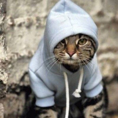 Дмитрий Евсеев