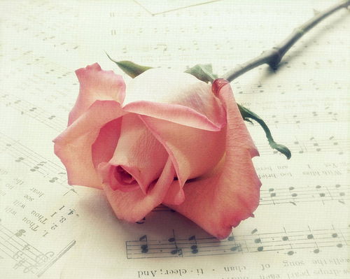 Жанар Калиева