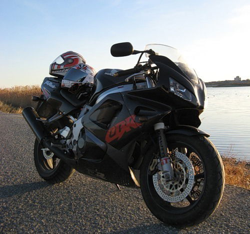 Елена Полякова