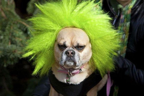 Владимир Кан