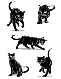 Ира Кузнецова