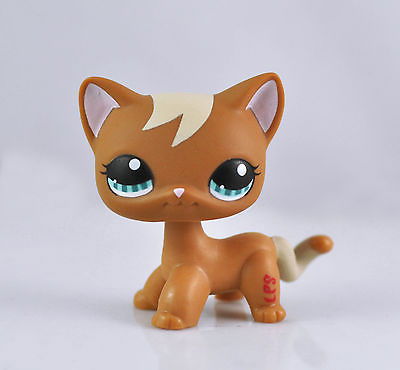 Полина Демидова