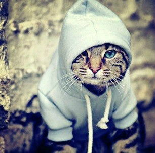 Вася Путиков