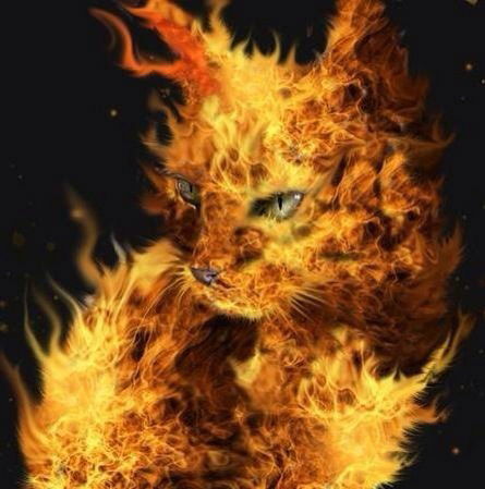 Дмитрий Забоев