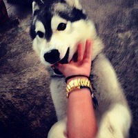 Оля Майлова