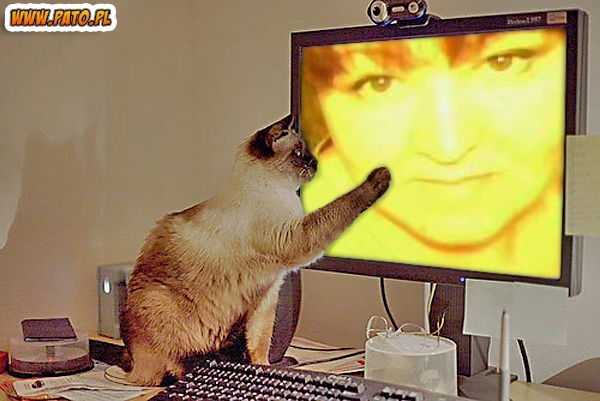 Наиля Павленко