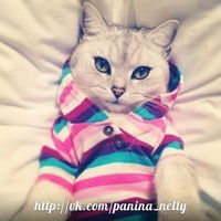 Ксения Елисеева