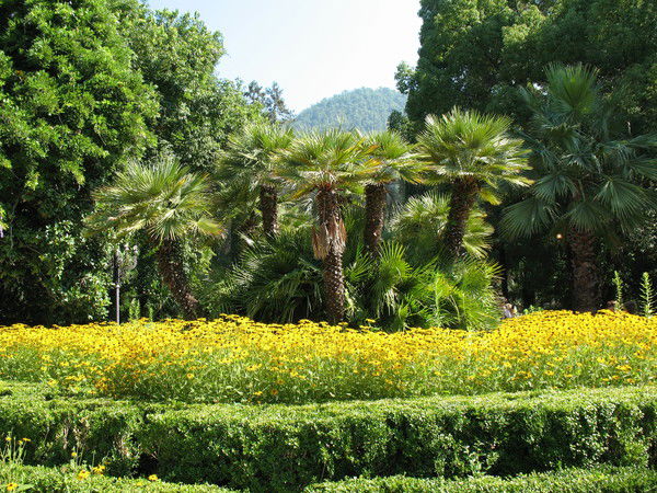 Барышев Андрей