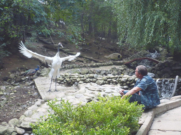 Юрий Шахматов