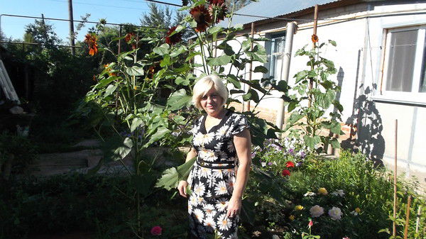 Любовь Шабалина