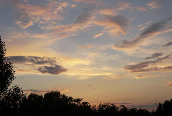 Александр Васильев