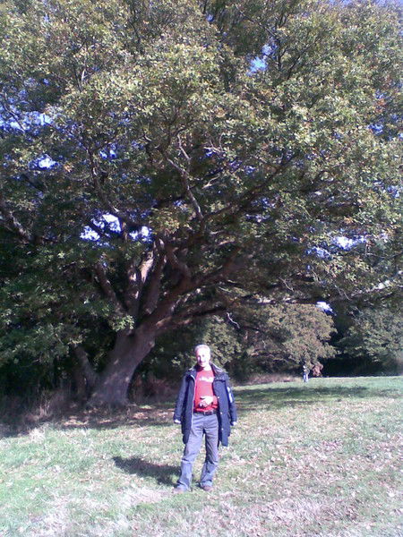 Nafe Nijazi Oglu Bekir-Usta