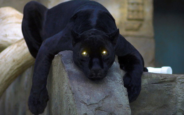 Азат Ильясов