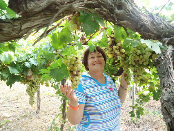 Ольга Антонова