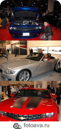 Міша Дубецький