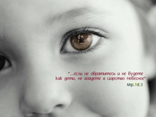 Владимир Боронников