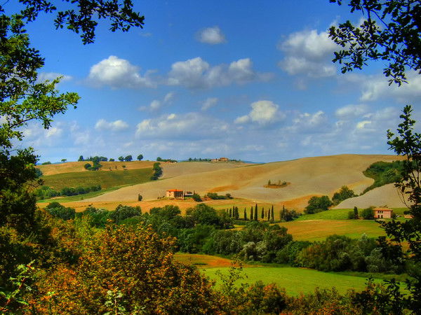 Наталья Макаренко