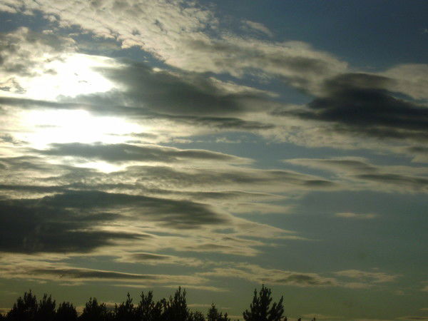 Юлия Галкина