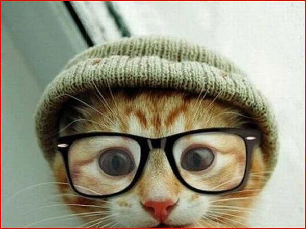 Игорь Бобров