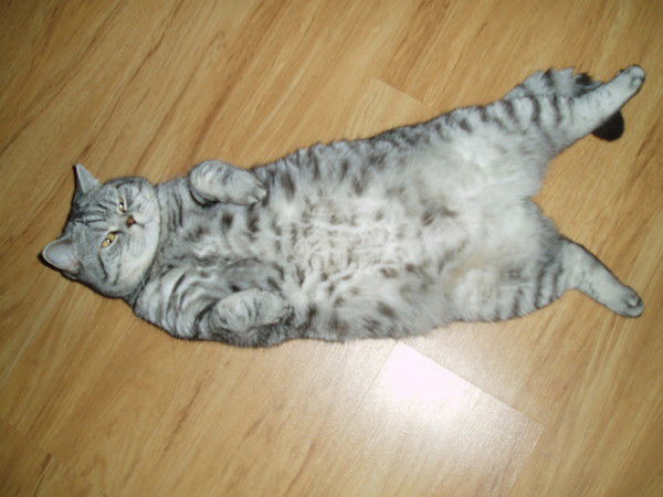 Сергей Свистунов