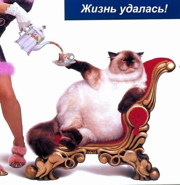 Андрей Котельников