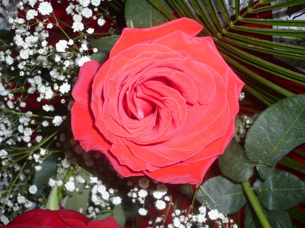 Лариса Сагайдачная